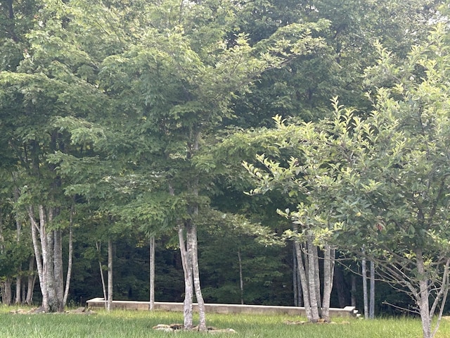 220 Bear Crawl Rd Unit Rb 28, Jasper, TN 37347 - view of wooded area