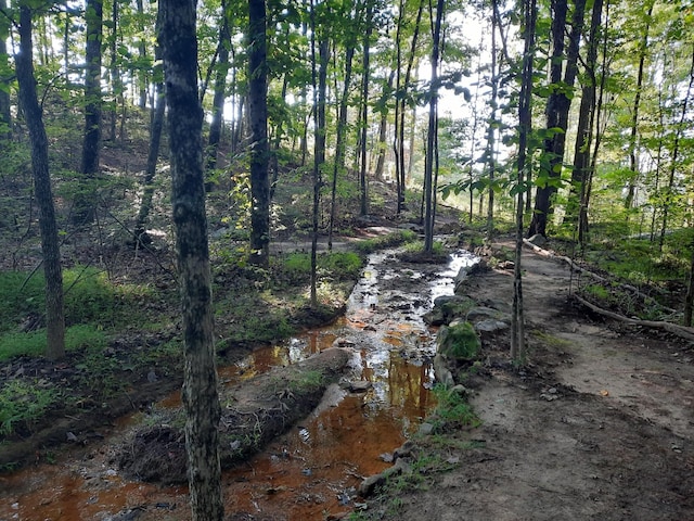 220 Bear Crawl Rd Unit Rb 28, Jasper, TN 37347 - view of undeveloped land