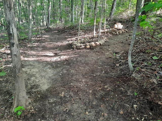 220 Bear Crawl Rd Unit Rb 28, Jasper, TN 37347 - view of local wilderness