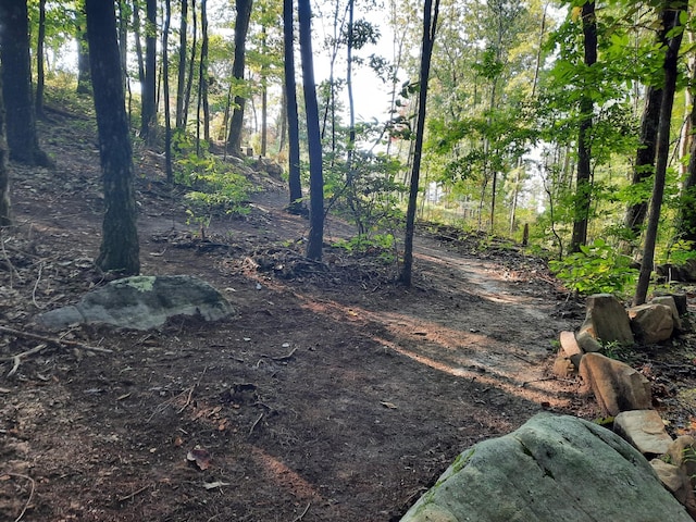 220 Bear Crawl Rd Unit Rb 28, Jasper, TN 37347 - view of local wilderness
