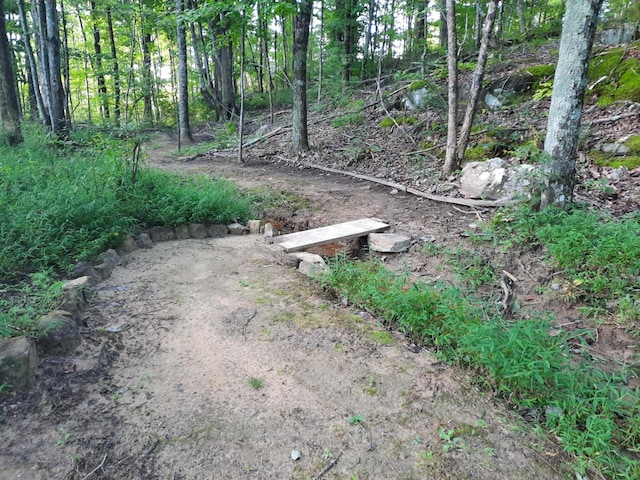 220 Bear Crawl Rd Unit Rb 28, Jasper, TN 37347 - view of yard