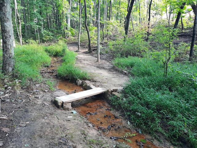 220 Bear Crawl Rd Unit Rb 28, Jasper, TN 37347 - view of wooded area