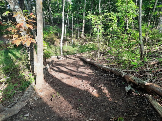220 Bear Crawl Rd Unit Rb 28, Jasper, TN 37347 - view of undeveloped land