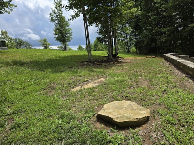 220 Bear Crawl Rd Unit Rb 28, Jasper, TN 37347 - view of yard