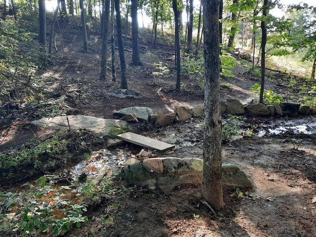 220 Bear Crawl Rd Unit Rb 28, Jasper, TN 37347 - view of nature