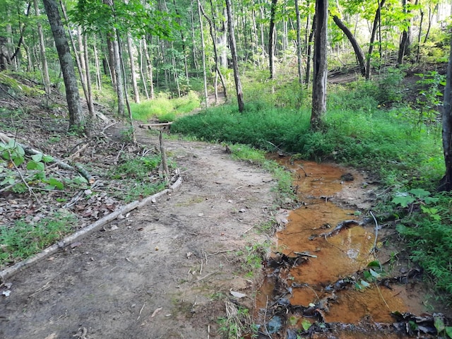 220 Bear Crawl Rd Unit Rb 28, Jasper, TN 37347 - view of nature