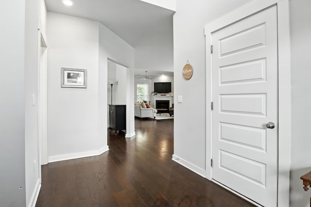 3154 Rift Ln, Murfreesboro, TN 37130 - corridor with dark wood finished floors and baseboards