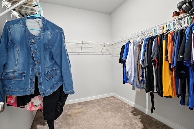 3154 Rift Ln, Murfreesboro, TN 37130 - walk in closet featuring carpet flooring