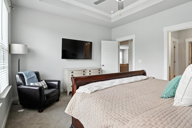 3154 Rift Ln, Murfreesboro, TN 37130 - carpeted bedroom featuring a tray ceiling, ornamental molding, and a ceiling fan