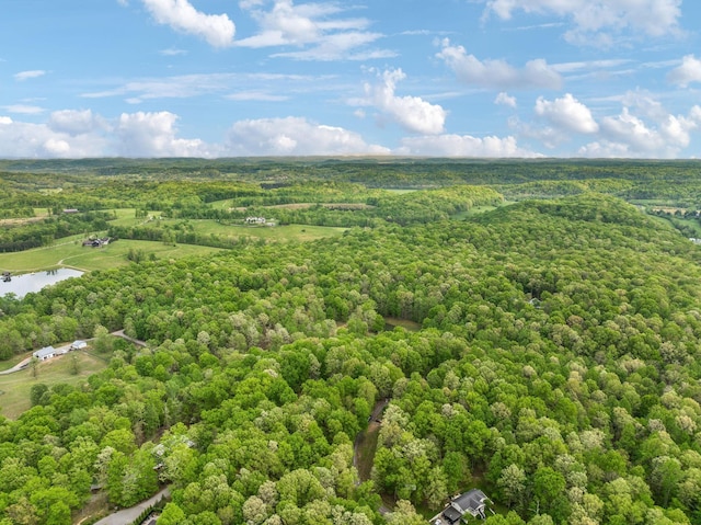 5617A Pinewood Rd, Franklin, TN 37064 - photo 69