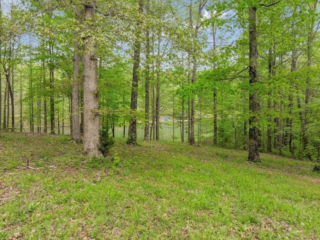 5617A Pinewood Rd, Franklin, TN 37064 - photo 67