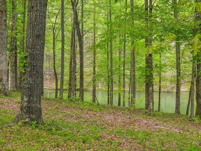 5617A Pinewood Rd, Franklin, TN 37064 - photo 66