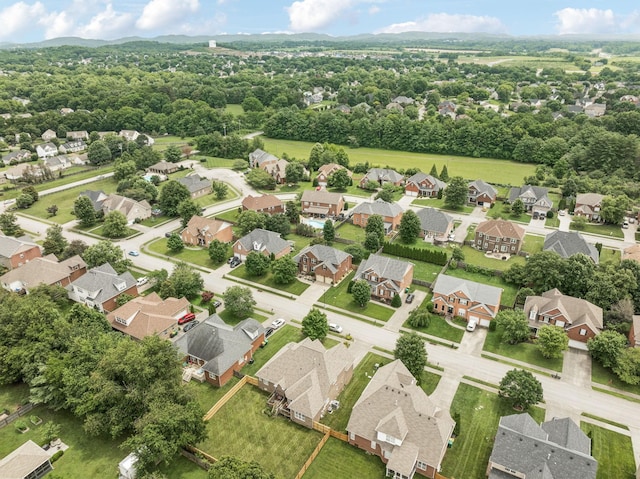 1011 Brixworth Dr, Thompsons Station, TN 37179 - aerial perspective of suburban area