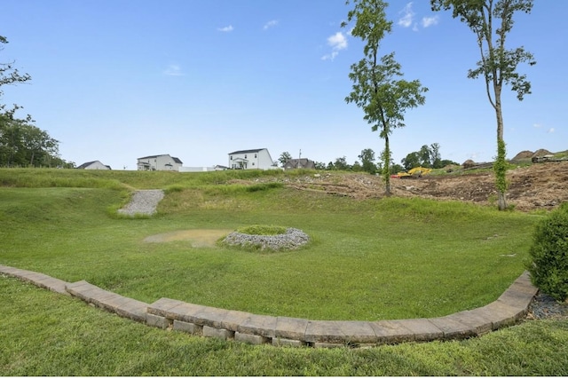 718 Excalibur Ct, Smyrna, TN 37167 - view of home's community