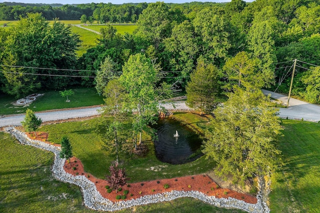 3121 Coon Hunter Lodge Rd, Jamestown, TN 38556 - drone / aerial view