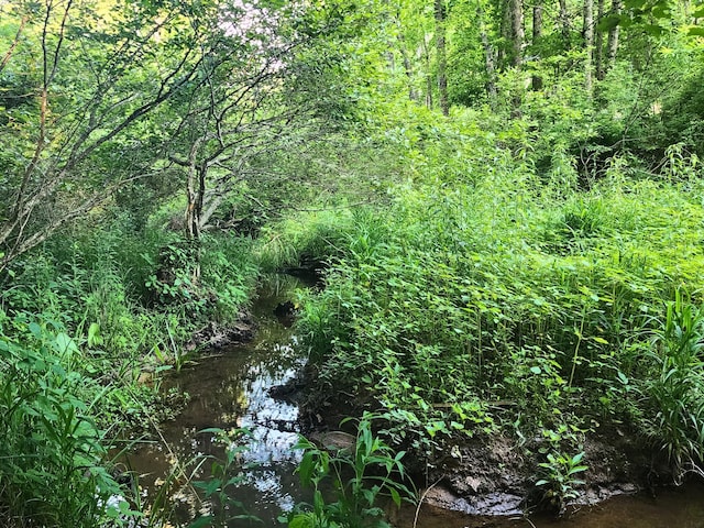 3121 Coon Hunter Lodge Rd, Jamestown, TN 38556 - view of tree filled area