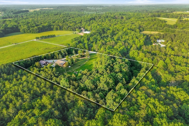 3121 Coon Hunter Lodge Rd, Jamestown, TN 38556 - aerial view of sparsely populated area with property boundaries highlighted