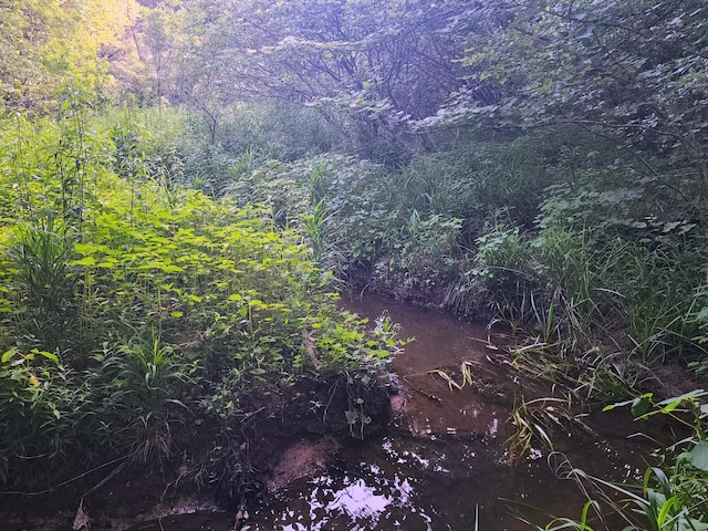3121 Coon Hunter Lodge Rd, Jamestown, TN 38556 - view of wooded area