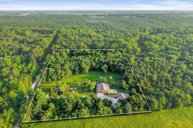 3121 Coon Hunter Lodge Rd, Jamestown, TN 38556 - aerial overview of property's location with property parcel outlined