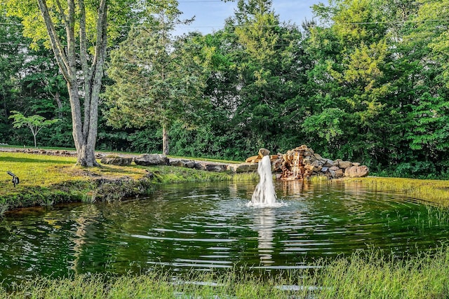 3121 Coon Hunter Lodge Rd, Jamestown, TN 38556 - water view