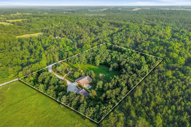 3121 Coon Hunter Lodge Rd, Jamestown, TN 38556 - aerial overview of property's location featuring a heavily wooded area and property parcel outlined