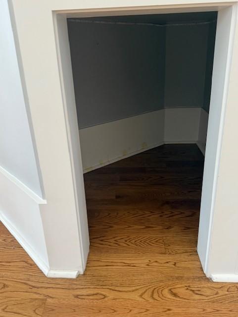 1430 Avellino Cir, Murfreesboro, TN 37130 - view of closet