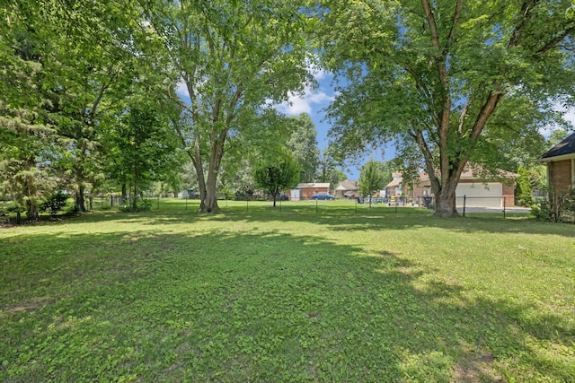 623 Haynes Dr, Murfreesboro, TN 37129 - view of yard