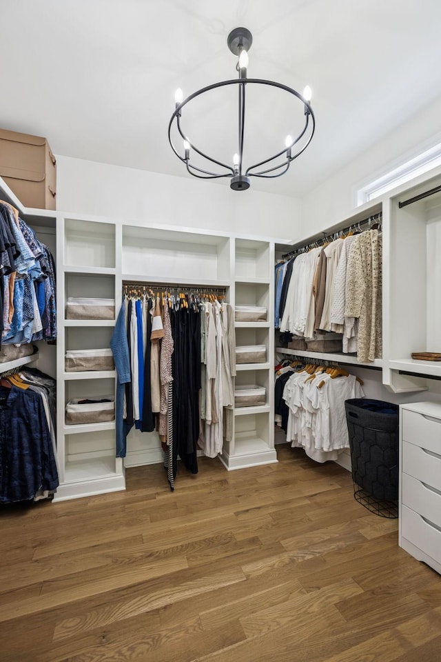 967 Nashs Nook, Columbia, TN 38401 - walk in closet featuring a chandelier and wood finished floors
