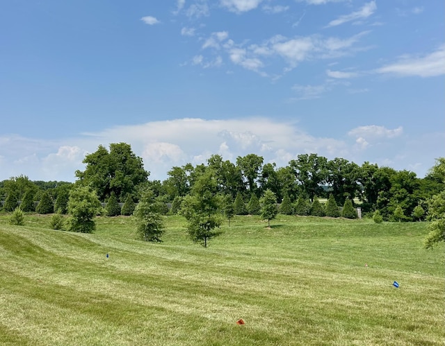 1048 Sumner Grv, Spring Hill, TN 37174 - photo 27