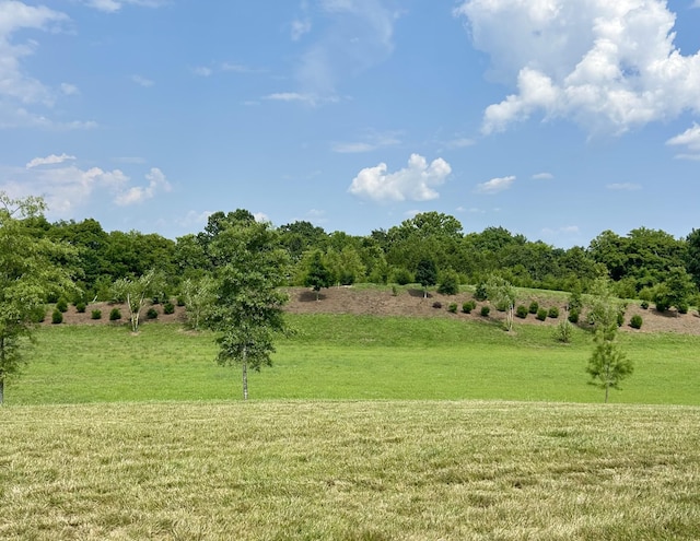 1048 Sumner Grv, Spring Hill, TN 37174 - photo 29