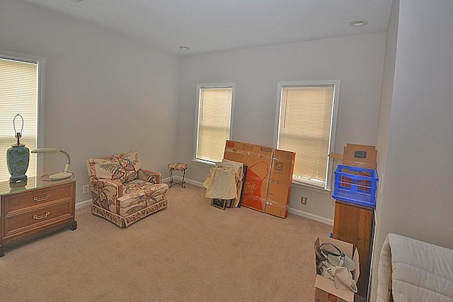 502 Johnstown Dr, Smyrna, TN 37167 - sitting room featuring carpet and baseboards