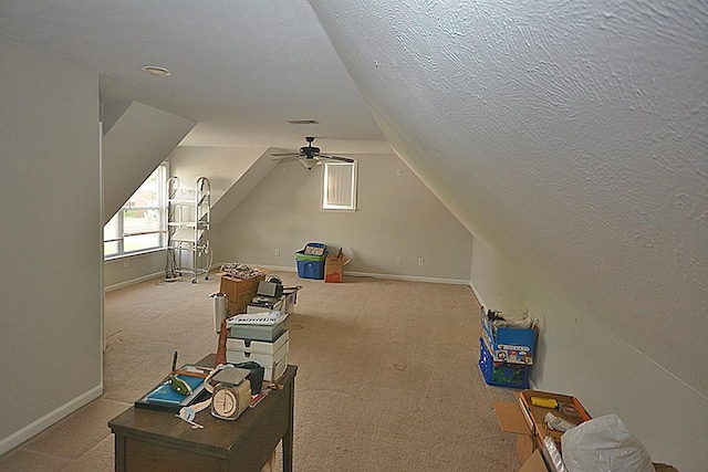 502 Johnstown Dr, Smyrna, TN 37167 - bonus room featuring vaulted ceiling, a textured ceiling, and carpet