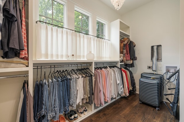 1014B Noelton Ave, Nashville, TN 37204 - walk in closet with wood finished floors