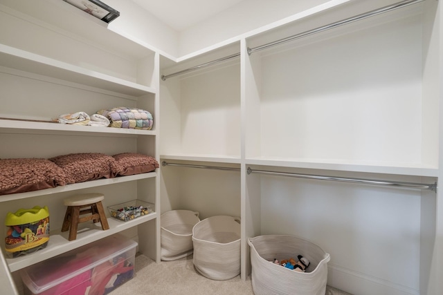1014B Noelton Ave, Nashville, TN 37204 - walk in closet with carpet flooring