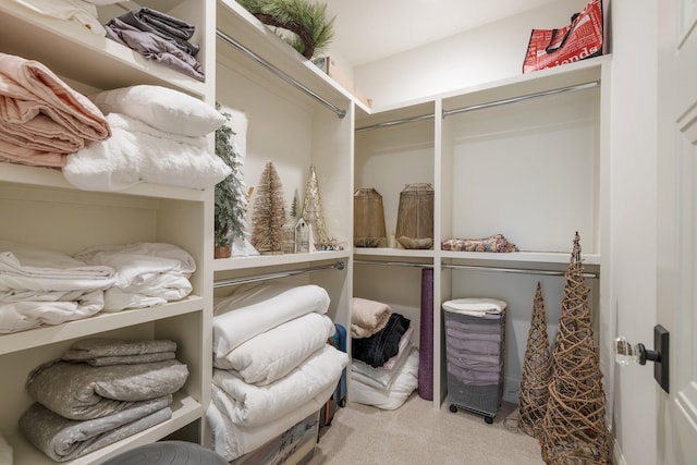 1014B Noelton Ave, Nashville, TN 37204 - walk in closet with carpet floors