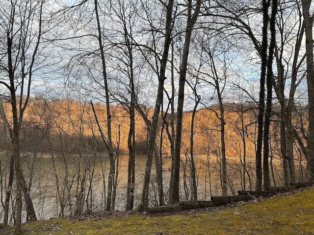 2220 Potts Camp Rd, Smithville, TN 37166 - water view with a heavily wooded area