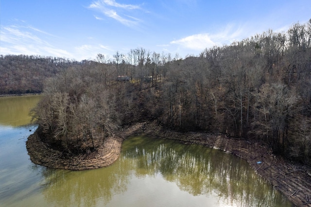 2220 Potts Camp Rd, Smithville, TN 37166 - water view featuring a heavily wooded area