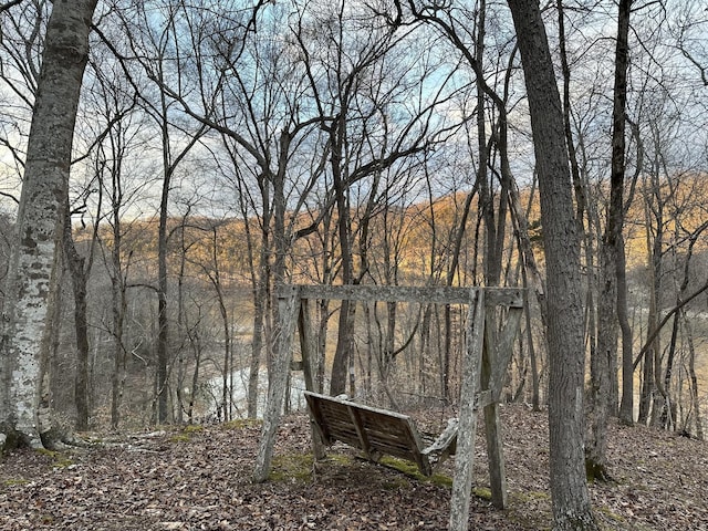 2220 Potts Camp Rd, Smithville, TN 37166 - water view