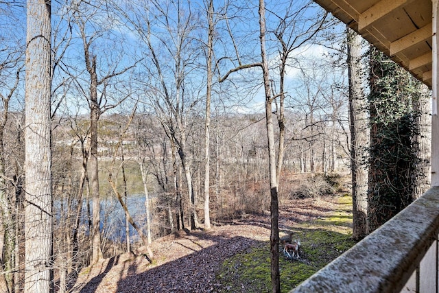 2220 Potts Camp Rd, Smithville, TN 37166 - view of yard