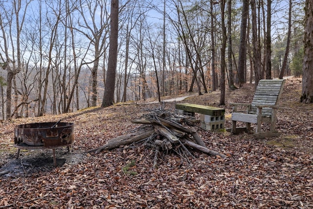 2220 Potts Camp Rd, Smithville, TN 37166 - view of yard