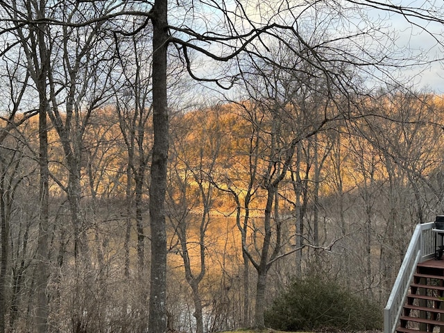 2220 Potts Camp Rd, Smithville, TN 37166 - water view with stairway and a heavily wooded area