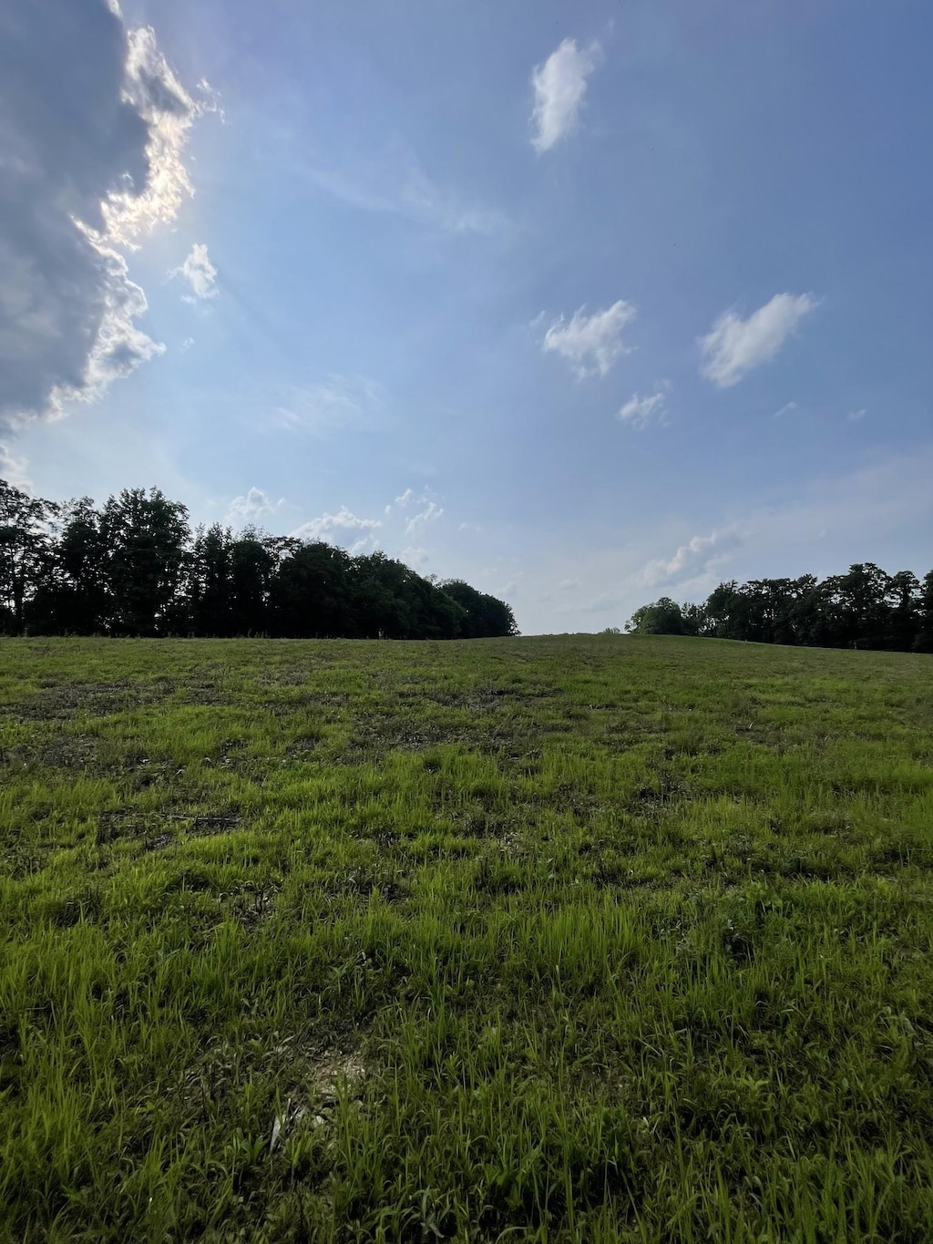 9 Annie Hollow Rd, Westmoreland, TN 37186 - photo 2