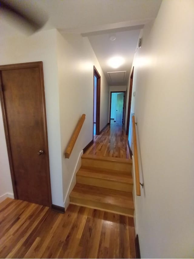 8039 Campbellsville Rd, Pulaski, TN 38478 - photo 35