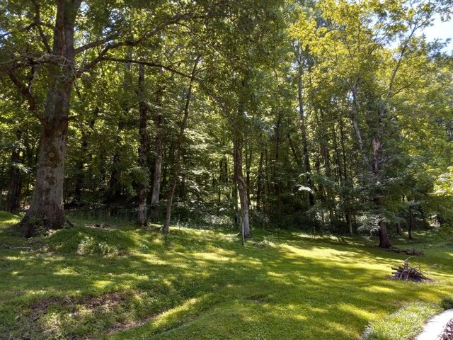 8039 Campbellsville Rd, Pulaski, TN 38478 - photo 16