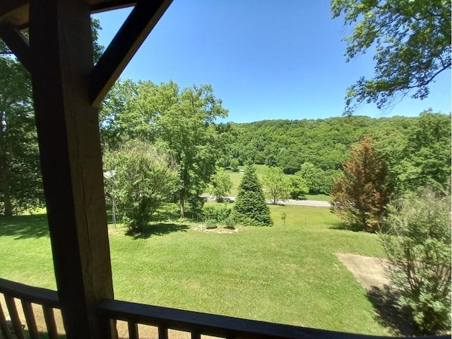 8039 Campbellsville Rd, Pulaski, TN 38478 - photo 12