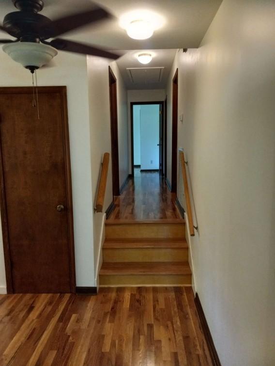8039 Campbellsville Rd, Pulaski, TN 38478 - photo 41