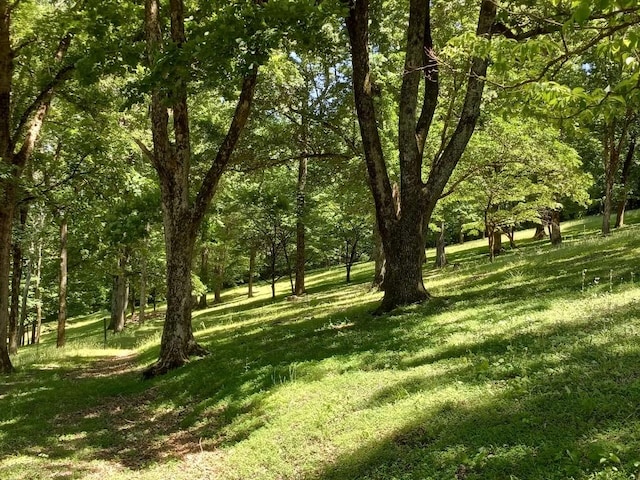 8039 Campbellsville Rd, Pulaski, TN 38478 - photo 18