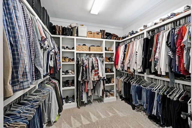 2003 Imagine Cir, Spring Hill, TN 37174 - walk in closet featuring carpet flooring