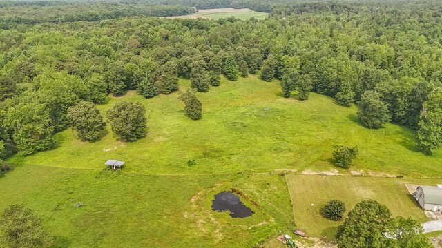 731 Barren Springs Rd, Hollow Rock, TN 38342 - photo 44