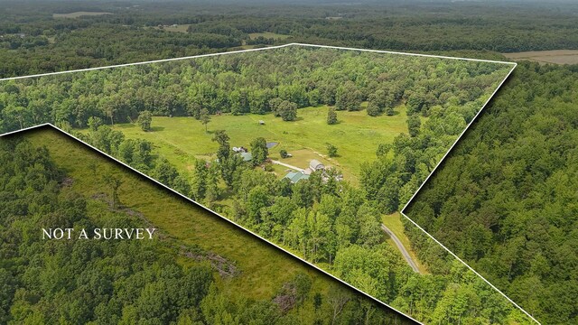 731 Barren Springs Rd, Hollow Rock, TN 38342 - photo 48
